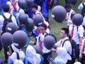 Tn 295 DSC 0379